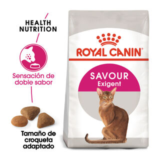 Royal Canin Adult Exigent Savour pienso para gatos